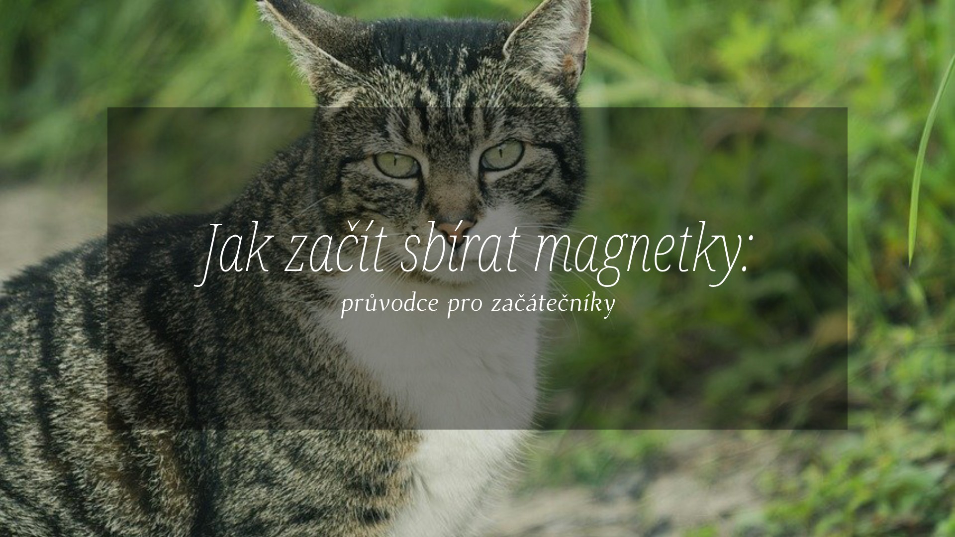 Sbírání magnetek - Výroba magnetky